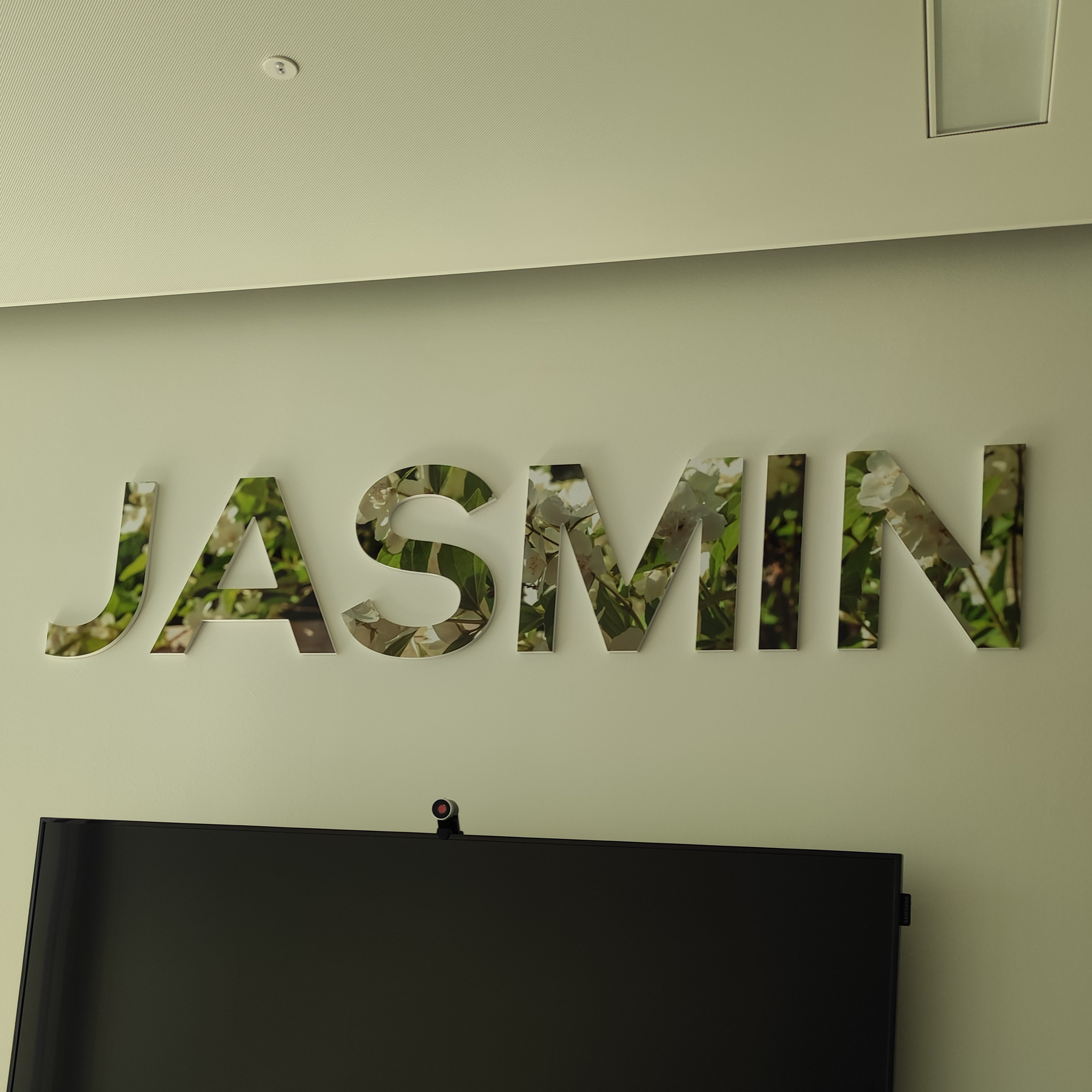 COMATEF - Habillage décoratif lettres découpées Jasmin plante